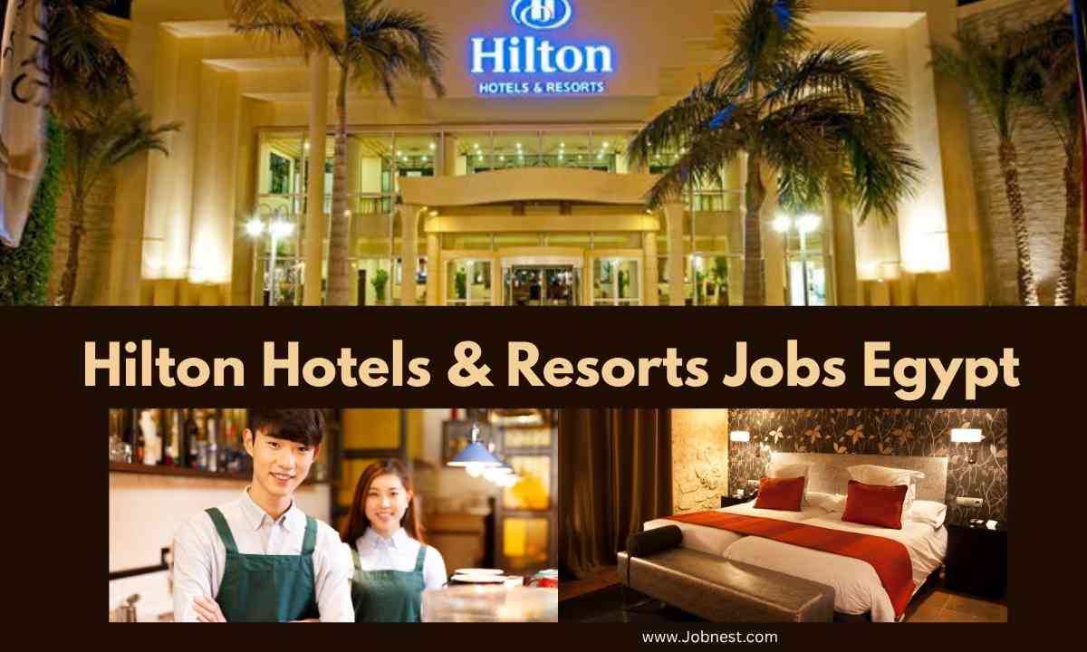 Hilton Hotels & Resorts Jobs Egypt